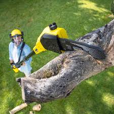 Best Grass Overseeding  in La Croft, OH