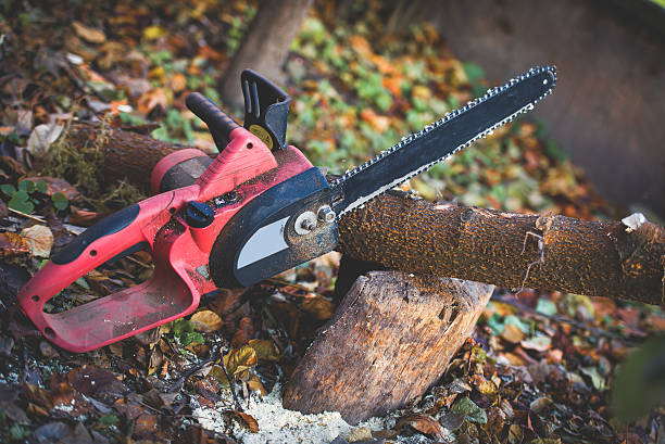 Trusted La Croft, OH Tree Care Experts